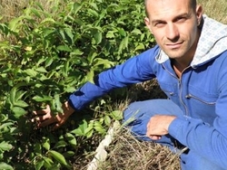 Требуется инвестор для расширения лесо-садового питомника 0 грн.