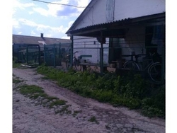 Ищу инвестора-партнера в действующую мясо-молочную ферму  0 грн.