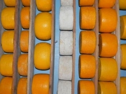 Ищу инвестора для создания фермерского хозяйства и сыроварни 0 грн.