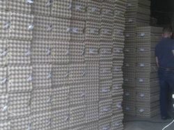 Ищу инвестора в производство (лотка, ячейки) под яйцо 0 грн.