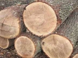 Партнер в переробку дубової дошки 0 грн.