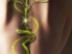 Инвестор в медицинский центр 0 грн.