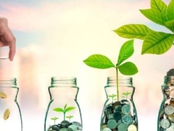 Ищем инвесторов в проект теплиц 0 грн.