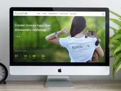 Ищу инвестиции для запуска двух проектов и запуска под них ico. 0 грн.