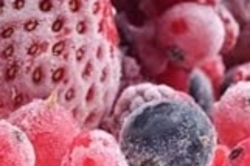 Ищу инвестора в агро-экспорт бизнес 0 грн.