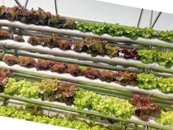 Автономная теплица на основе гидропоники 0 грн.